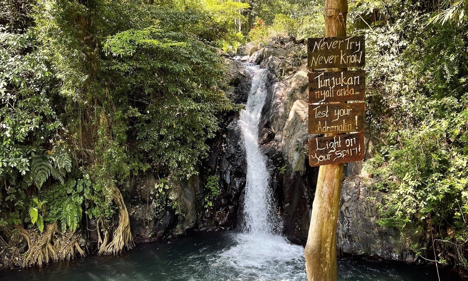 Sambangan Waterfalls with Wanagiri Swing Day Trip